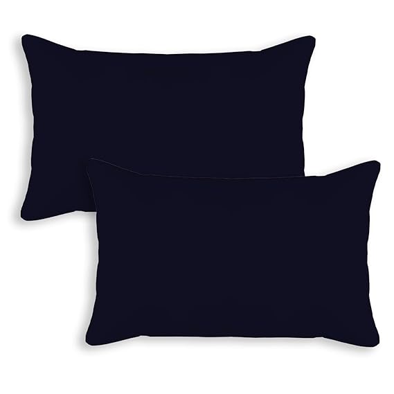 Luxurious 2 Piece Microfiber Pillow Filler - 16X24 Inch