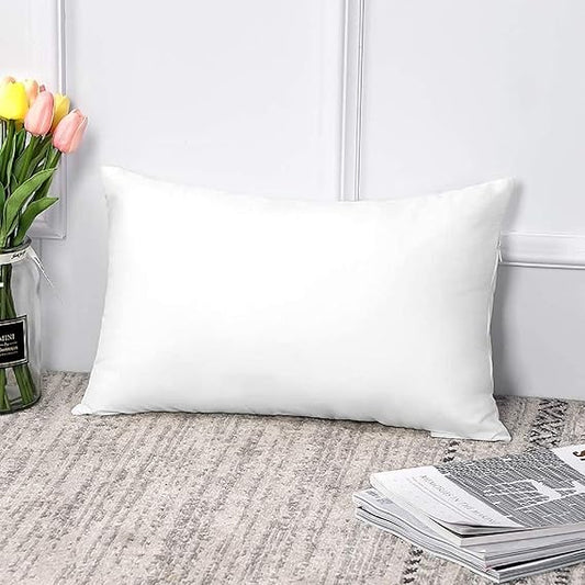 Luxurious 2 Piece Microfiber Pillow Filler - 16X24 Inch